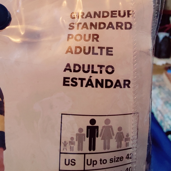 Killer Bee Costume - Picture 3 of 3